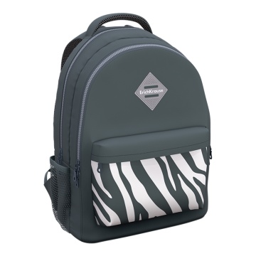 Рюкзак ErichKrause EasyLine с двумя отделениями 20L Light Grey Zebra