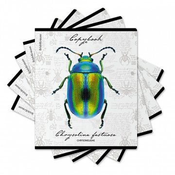 Тетрадь А5 48л кл. Erich Krause "Жуки,", УФ-лак выборочный+тиснение фольгой+ конгр.