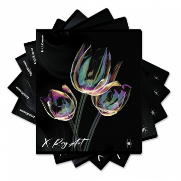 Тетрадь общая ученическая ErichKrause X-Ray Art, 96 листов, клетка, голографическая ламинация_MIX-PA