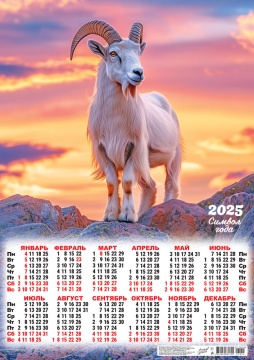 Календарь листовой А2 (420*594мм) на 2027г. "Символ года. Рассветы и закаты"