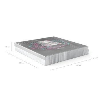 Тетрадь общая ученическая с пластиковой обложкой на скобе ErichKrause Persons, Физика, 48 листов, кл