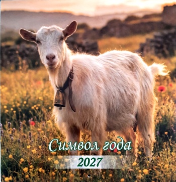 Календарь КВАДРАТ (средний) 230х235мм на 2027 год "Символ года. На лугу"