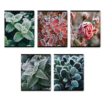 Тетрадь А5 48л кл. Светоч "Морозная свежесть" глянц.лам.