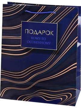 Пакет подар. бумажн. 26*32*10 см, 157гр/м, Особый подарок
