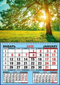 Календарь настенный 310*420мм на 2026г. ОДНОБЛОЧНЫЙ с курсором и календ.сеткой "Солнечное дерево"