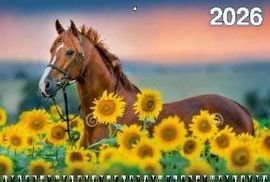 Календарь Трио 310*680мм на 2026г. Год Лошади. Вид 1