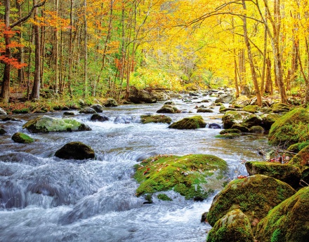 Календарь Трио 295*720мм на 2026г. Осень в лесу