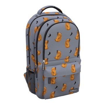 Рюкзак ErichKrause ActiveLine Ergoback с тремя отделениями 22L Capybara