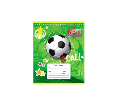 Тетрадь 12 листов А5 Клетка. Мячи для чемпионов