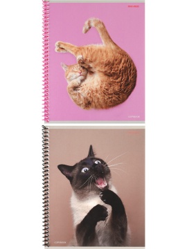 Тетрадь А5  48л кл. гребень Проф-Пресс "Такие смешные кошки" белизна 100%