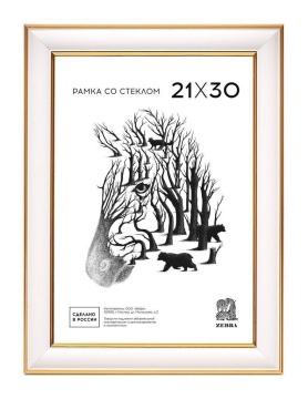 Фоторамка пластик 21*30 600 (Белая с золотым кантом)