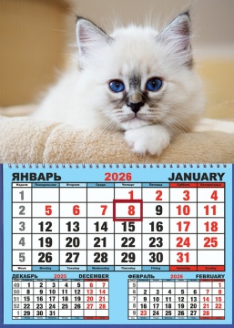 Календарь настенный 310*420мм на 2026г. ОДНОБЛОЧНЫЙ с курсором и календ.сеткой "Белый котёнок"