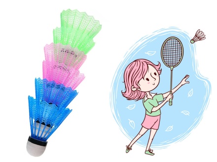 Воланы для бадминтона  6шт., пакет, пенопласт