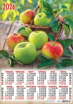 Календарь ЛИСТОВОЙ А2 420*595мм на 2026г. Натюрморт. Яблоки