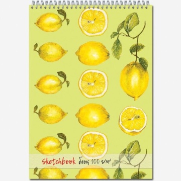 Скетчбук А4  40л., гребень, 100гр/м2 "Sketchbook" белизна 100%, жестк.подложка*