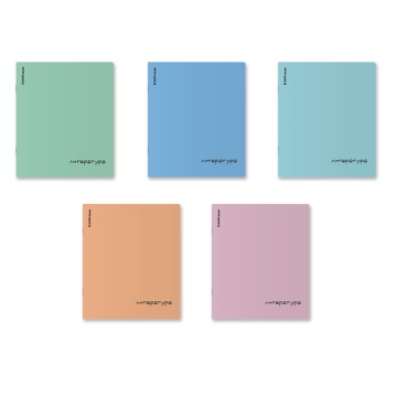 Тетрадь общая ученическая с пластиковой обложкой на скобе ErichKrause Dream, Литература, 48 листов,