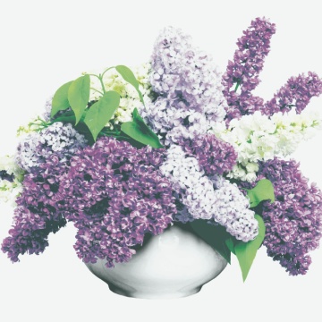 Салфетка "Сирень" 33*33см, 20 шт., 2-х слойная