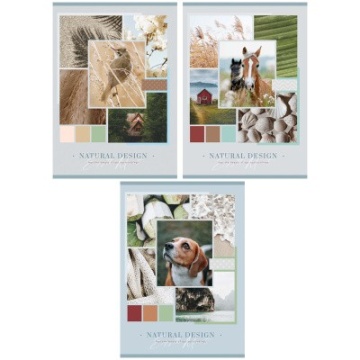 Тетрадь 80л., А4, линия ArtSpace "Путешествия. Natural design"(341443)