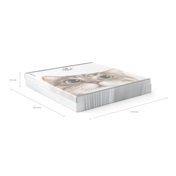 Тетрадь общая ученическая ErichKrause Котики, 48 листов, клетка, матовая ламинация+выборочный УФ-лак