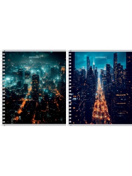 Тетрадь А5 48л кл. гребень Проф-Пресс "Вид на ночной город"