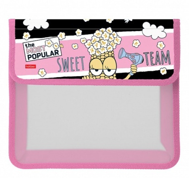 Папка д/тетрад. А5 (240*205*75) 2отд. на липучке, пластик "Модная кукуруза"