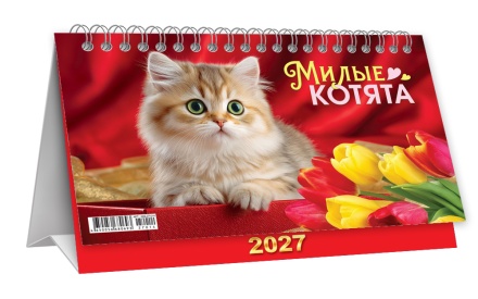Календарь-домик (большой) на 2027 год "Милые котята" 196х130мм