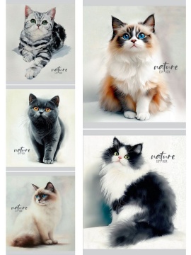 Тетрадь А5 48л ЛИН. Проф-Пресс "Красивые коты - 1"