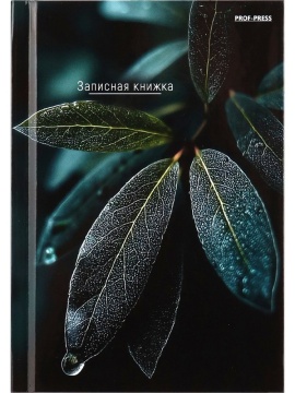 Блокнот А6 7БЦ  64л "Листья - 14" кл., глянц.лам.