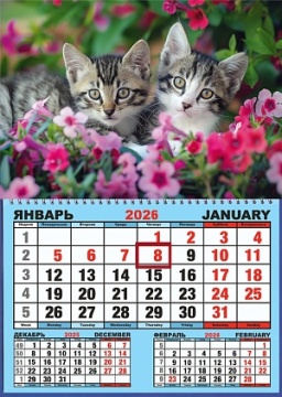 Календарь настенный 310*420мм на 2026г. ОДНОБЛОЧНЫЙ с курсором и календ.сеткой "Два котёнка"