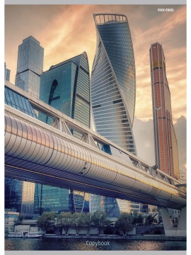 Тетрадь А4 96л кл. скоба Проф-Пресс "Мегаполис и небо" белизна 100% (203*273мм)