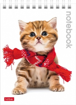 Блокнот А6  40л гребень "Милые котята" клетка