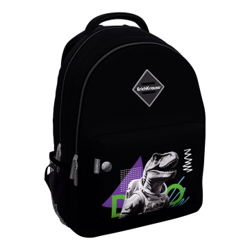 Рюкзак ErichKrause EasyLine с двумя отделениями и грудной перемычкой 20L Dino Hobby