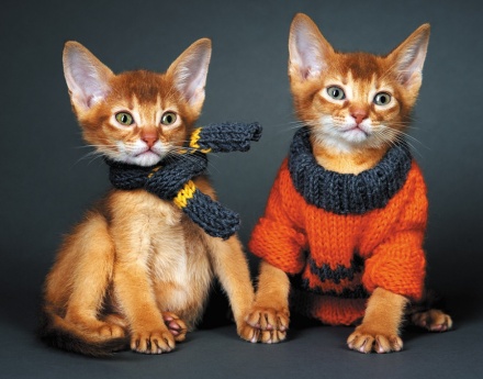 Календарь Трио 295*720мм на 2026г. Пойдем гулять