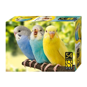 Пазлы   54 элемента  180*130мм. "Домашние питомцы"