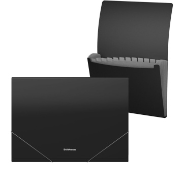 Папка 12 отд. на резин. А4 Matt Classic, черный