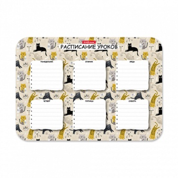 Расписание уроков пластиковое ErichKrause Коты-лежебоки, А4