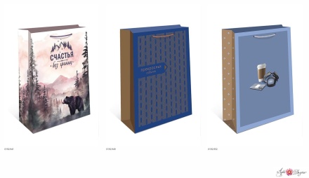 Пакет подар. бумажн. 18*23*10 см 150гр/м "Ассорти" мужской