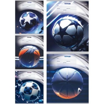 Тетрадь А5 12л лин. Проф-Пресс "Разные мячи - 3" 5диз.в спайке