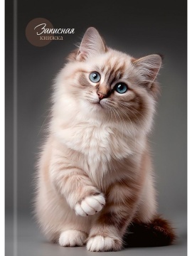 Блокнот А5 7БЦ 160л "Красивый кот - 1" кл., глянц.лам., лен
