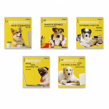 Тетрадь А5 36л кл. Erich Krause "Ученые собаки" MIX-PACK