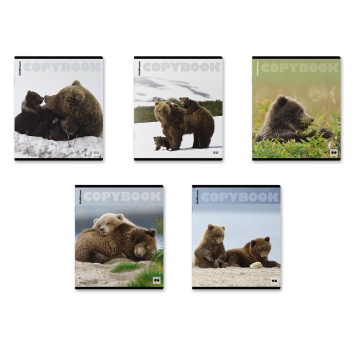 Тетрадь А5 96л кл. Erich Krause "Медведи", глянцевая ламинация MIX-PACK