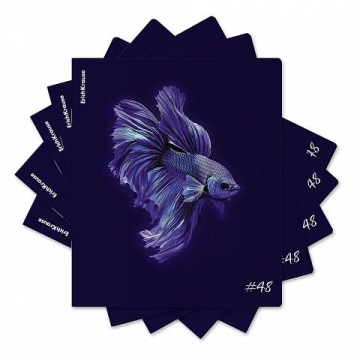 Тетрадь А5 48л кл. Erich Krause "Indigo", ламинация soft-touch+выборочный УФ-лак_MIX-PACK