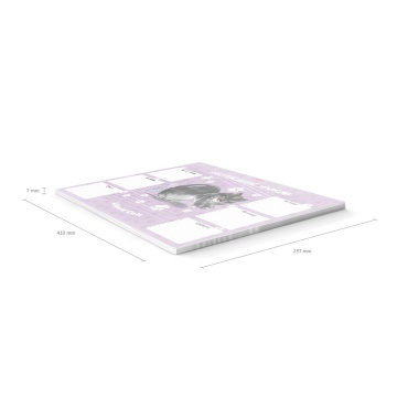 Расписание уроков ErichKrause Жидкие коты, А3