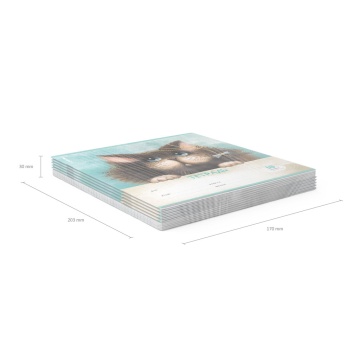 Тетрадь школьная ученическая ErichKrause Funny Cats, 18 листов, линейка (в плёнке по 10 шт.)_MIX-PAC