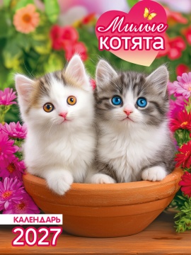 Календарь на магните отрывной 96*135мм на 2027г. "Животные. Милые котята"