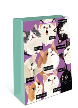 Пакет подар. бумажн. 26*32*12 см, 130гр/м2 Коты (мем)