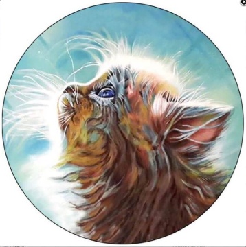 Вышивка крестиком. 21*21 см. В ассортименте.