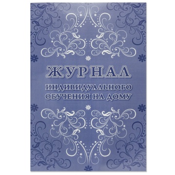 Журнал индивидуального обучения на дому