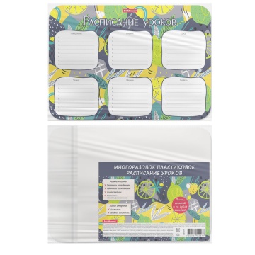 Расписание уроков пластиковое ErichKrause Lime, А4`