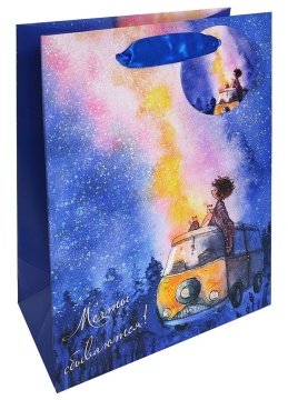 Пакет подар. бумажн. 26*32*12 см 210 гр/м2  Космоскетчи. Летняя ночь, мат.лам